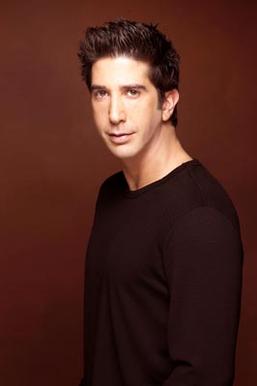 David Schwimmer as Ross Geller.jpg