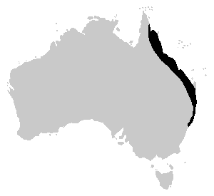 Litoria gracilenta range.PNG