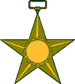 Bronze Star Medal Reverse.PNG