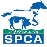 Alberta-spca.jpg