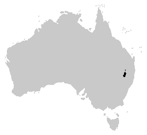 Litoria piperata distribution.PNG