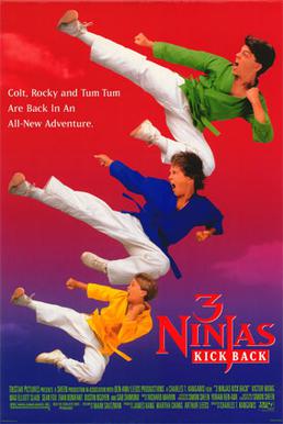 3 Ninjas Kick Back.jpg