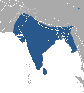 Indian Flying Fox area.png