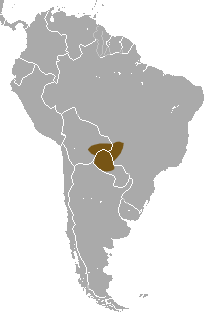 White-coated Titi area.png