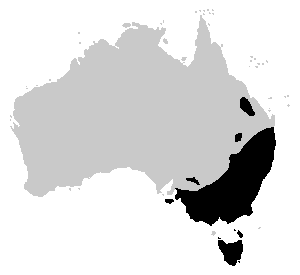 Crinia signifera distribution.PNG