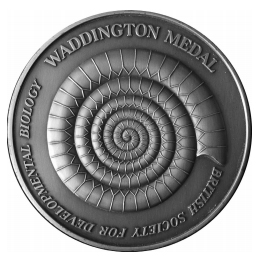 Waddington medal