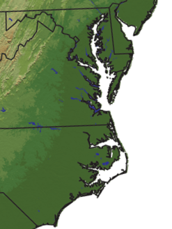 Tidewater region painted relief map