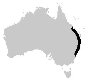 Adelotus brevis distribution map.png