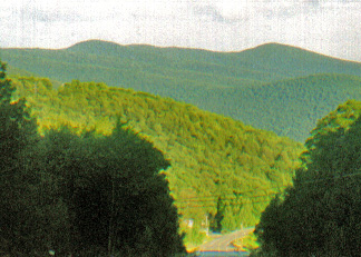 Panther Mountain from Highmount.jpg