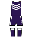 2011 Onward Fremantle Dockers Kit