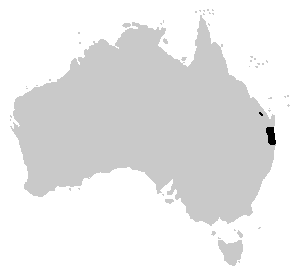 Litoria pearsoniana range.PNG