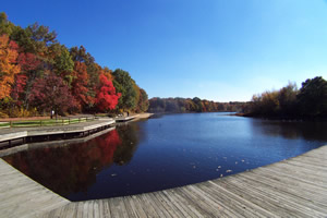 Turkey Swamp during the autumn months