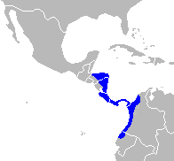 Cebus capucinus Range Map cropped 2.png