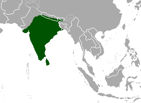 Chital range map.png