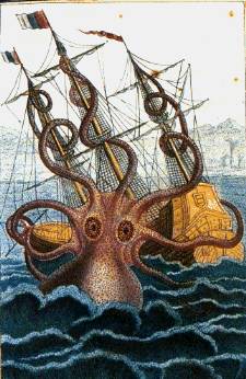 Colossal octopus by Pierre Denys de Montfort