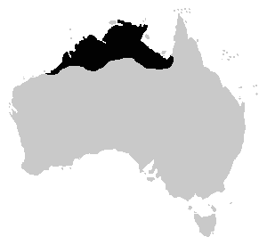 Cyclorana australis distrib.png