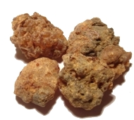 Commiphora-myrrha-resin-myrrh