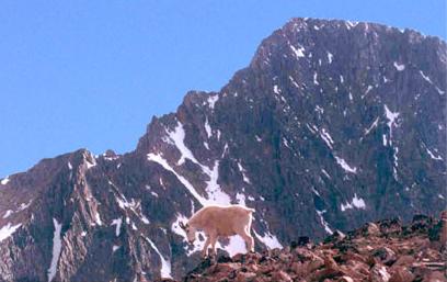 Granite Peak Montana