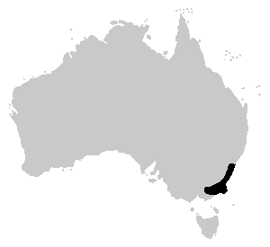 Lesueurii range.png