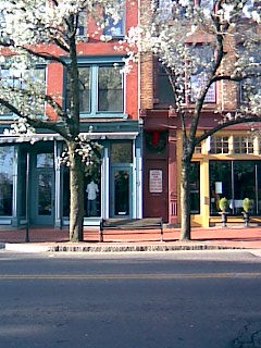 Spring Morning Washington Street with Empty Bench.jpg