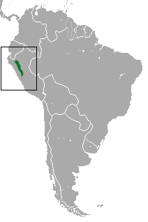 Peruvian Night Monkey area.png