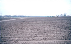 Nodena Site fields.jpg