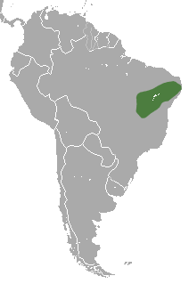 Brazilian Three-banded Armadillo area.png