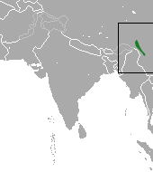 Black Snub-nosed Monkey area.png