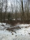 Holland Brook Headwaters