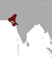 Indian Hedgehog range.png