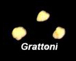 Grattoni.jpg