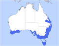 Pultenaea distribution.png