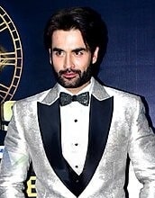 Vivian Dsena at the grand finale of Bigg Boss 18 (cropped).jpg