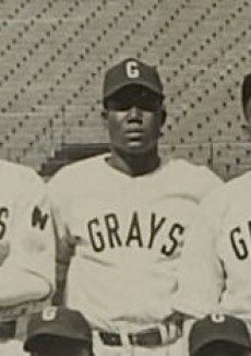 Willie Hubert Homestead Grays.jpg