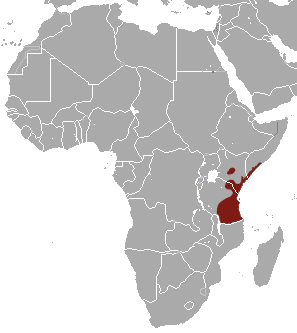 Northern Greater Galago area.png