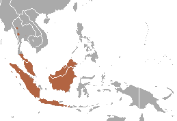 Horsfield’s Fruit Bat area.png