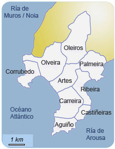 Mapa Carreira