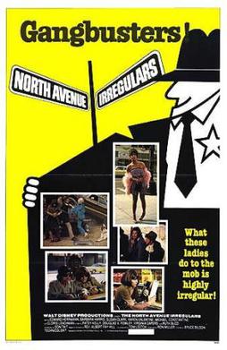 The North Avenue Irregulars poster.jpg