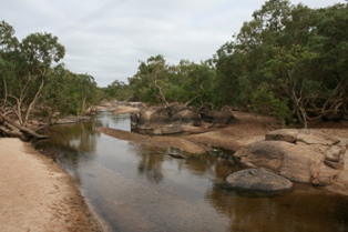 Archer-river-cape-york-australia.JPG