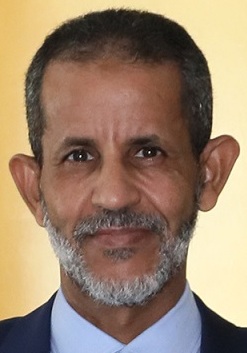 Ismail Ould Bedde Ould Cheikh Sidiya (cropped).jpg