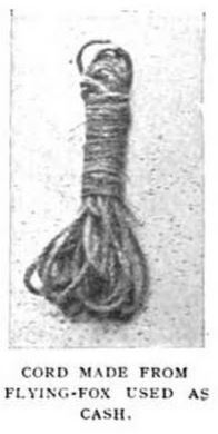 Flying fox cord