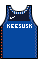 Kit body connecticutsun rebel21.png