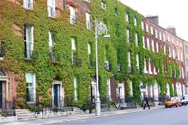 Merrion Square Houses.jpg