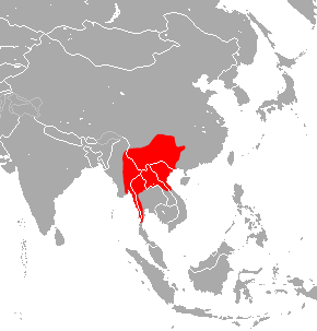 Stoliczka's Trident Bat area.png