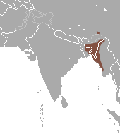 Western Hoolock Gibbon area.png