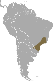 Brazilian Gracile Mouse Opossum area.png