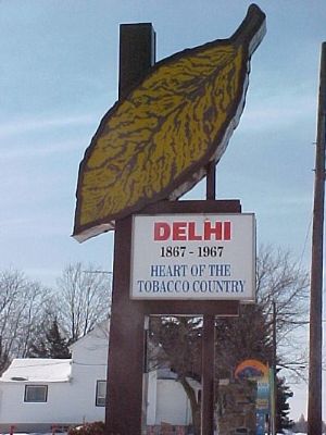 DelhiLeaf.jpg