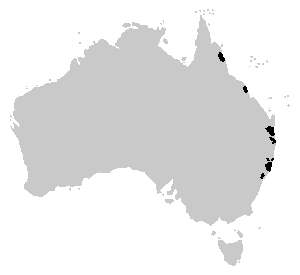 Litoria revelata distribution.PNG