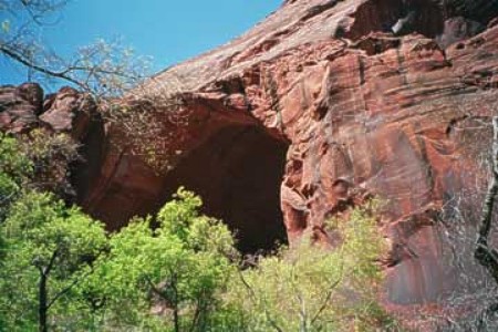 Verm wrather arch