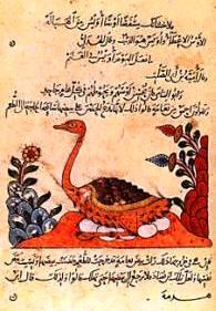 Al-Jahiz - pages from Kitaab al Hayawaan 4